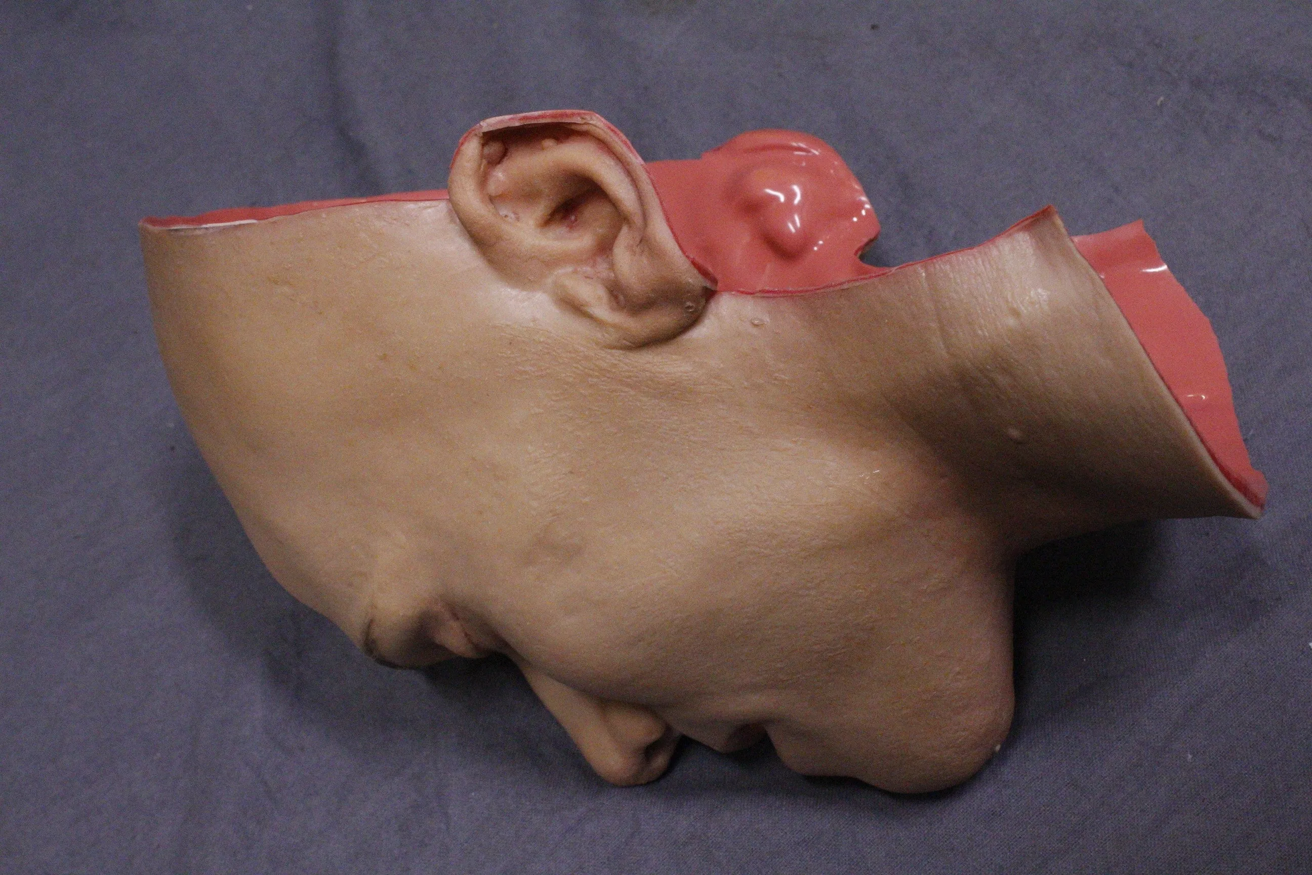 Dura Tony Peeled Face Skin