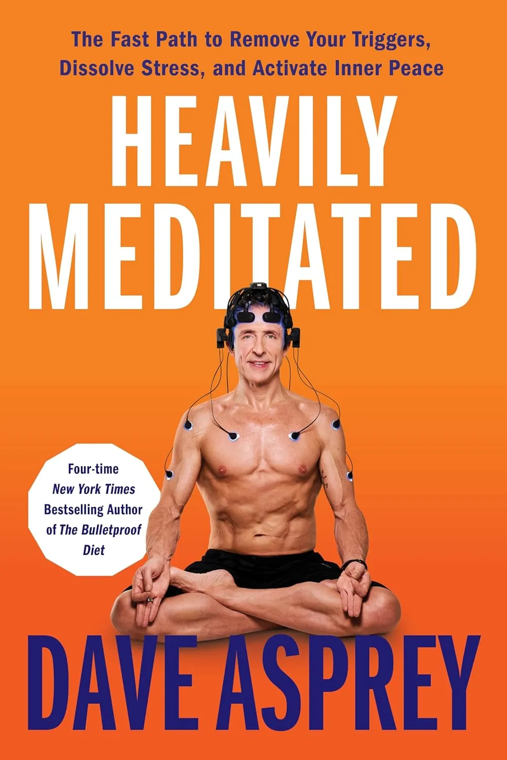 Heavily Meditated: The Fast Path to Remove Your Triggers, Dissolve Stress, and Activate Inner Peace Hardcover  May 20, 2025